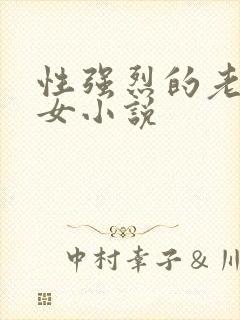 性强烈的老年妇女小说