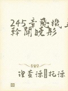 245章飞机上干关晓彤