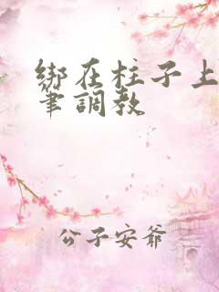 绑在柱子上用毛笔调教