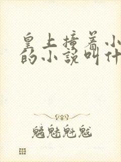 皇上撞着小公主的小说叫什么