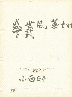 盛世风华txt下载