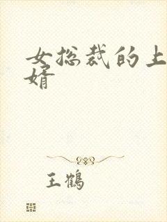 女总裁的上门女婿