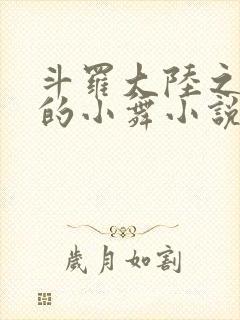 斗罗大陆之Y荡的小舞小说