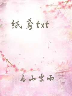 纸鸢txt