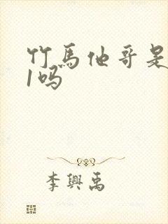 竹马他哥是1v1吗