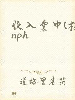 收入囊中(校园nph