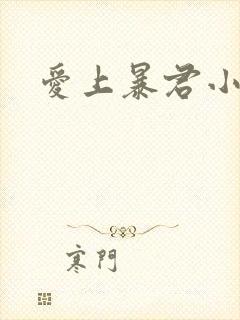 爱上暴君小甜心