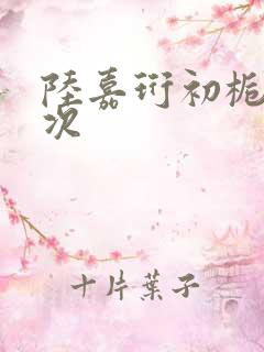 陆嘉珩初栀第一次