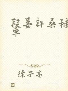 段嘉许桑稚浴室车