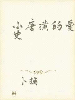 小唐璜的爱情历史