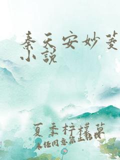 秦天安妙菱修仙小说