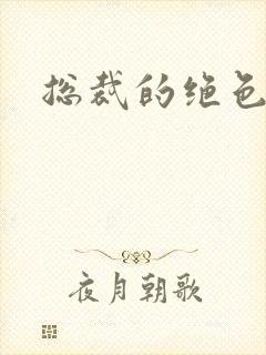 总裁的绝色娇妻