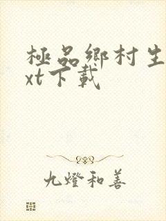 极品乡村生活txt下载