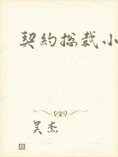 契约总裁小萌宝