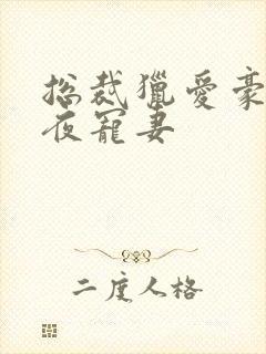 总裁猎爱豪门一夜宠妻