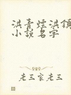 洪青烟洪镇国的小说名字