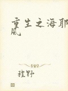 重生之海耶斯旋风