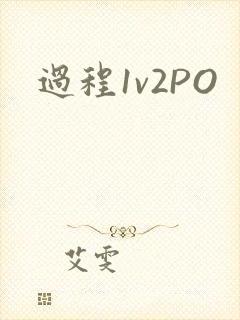 过程1v2PO