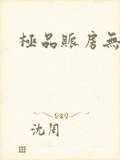 极品账房无弹窗