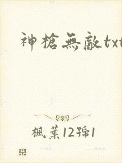 神枪无敌txt