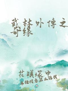 武林外传之同福奇缘