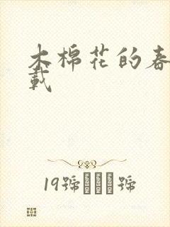 木棉花的春天下载