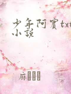 少年阿宾txt小说