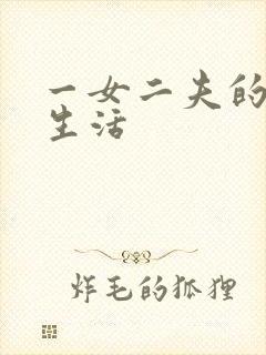 一女二夫的激情生活