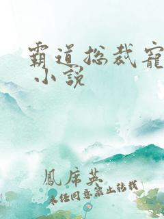 霸道总裁宠上天 小说