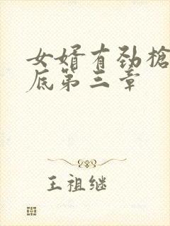 女婿有劲枪枪到底第三章