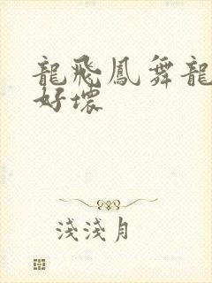 龙飞凤舞龙王你好坏