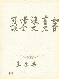 可惜没有如果小说全文免费阅读