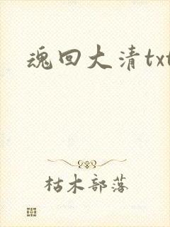 魂回大清txt