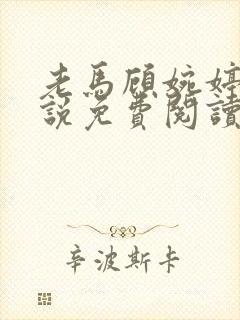 老马顾婉婷的小说免费阅读