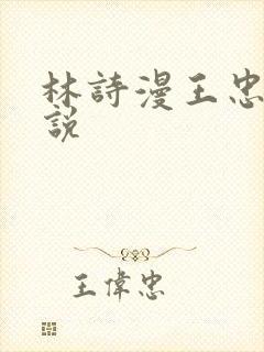 林诗漫王忠文小说