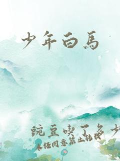 少年白马