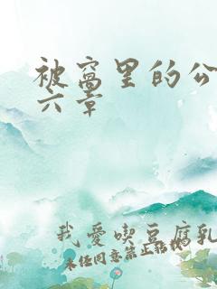 被窝里的公息十六章