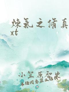 炼气之修真者txt