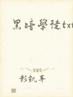 黑暗学徒txt