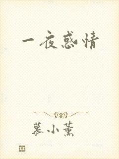 一夜惑情