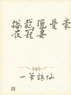 总裁猎爱豪门一夜宠妻