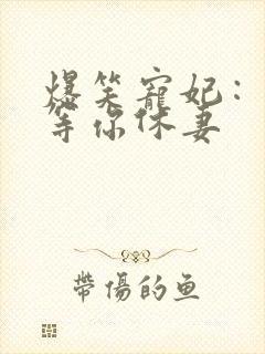 爆笑宠妃：爷我等你休妻