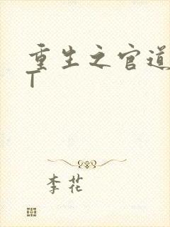 重生之官道TXT