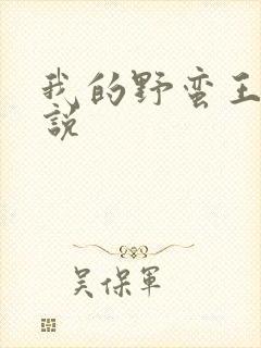 我的野蛮王妃小说