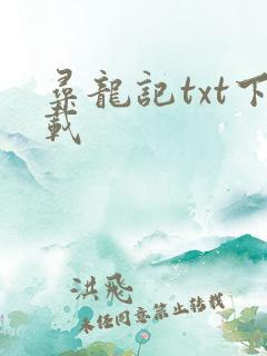 寻龙记txt下载