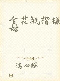 金花瓶楷梅花尼姑