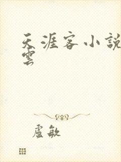 天涯客小说百度云