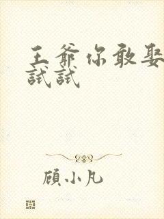 王爷你敢娶小三试试