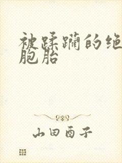 被蹂躏的绝色双胞胎