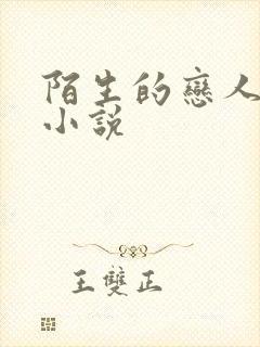 陌生的恋人原著小说
